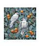 Pomegranate Boxed Notecards - Birds of a Feather Vasilisa Romanenko