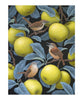 Pomegranate Boxed Notecards - Birds of a Feather Vasilisa Romanenko