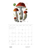 Mushrooms: Alexander Viazmensky 2027 Pomegranate Wall Calendar