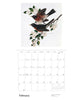A Birder's View: Paintings by John A. Ruthven 2027 Pomegranate Wall Calendar