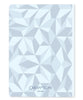 Caran d'Ache Special Edition A5 Notebook - Alpine Frost