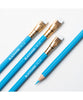 Blackwing Blue Coloured Pencils - Box of 4