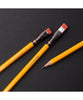Blackwing ERAS Special Edition Palomino Pencils (Box of 12) - 2023 Edition