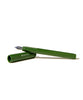 Ferris Wheel Press The Carousel Fountain Pen - Brilliant Beanstalk