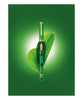 Pelikan M800 Souverän Fountain Pen - Green Demonstrator Special Edition