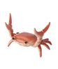 Nahvalur Crab Pen Stand - Various Colours