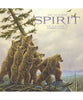 Spirit: The Paintings of Robert Bissell 2027 Pomegranate Wall Calendar