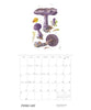 Mushrooms: Alexander Viazmensky 2027 Pomegranate Wall Calendar
