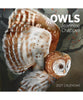 Owls: Jeannine Chappell 2027 Pomegranate Wall Calendar