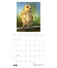 Owls: Jeannine Chappell 2027 Pomegranate Wall Calendar