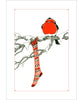 Pomegranate Boxed Assorted Christmas Cards - Patricia Burgess: Jolly Robins