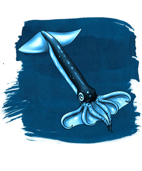 Anderillium Fountain Pen Ink - Flying Squid Blue