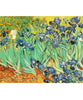 Visconti Van Gogh Fountain Pen - Irises